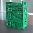 Zielone składane plastikowe skrzynki na owoce przenośne do zakupów w domu