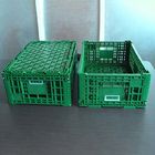 Zielona plastikowa skrzynia do przechowywania 600x400x220cm na warzywa owocowe